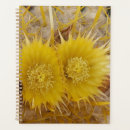 Search for cactus planners Flowers