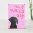 Search for labrador valentines day cards Pet