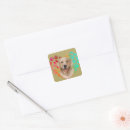 Search for golden paw stickers Retriever
