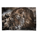 Search for close up pillowcases Nature