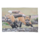 Search for fox pillowcases Nature