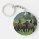 Search for mustang key rings Bob langrish