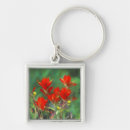 Search for paintbrush key rings Wildflower
