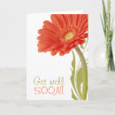 Search for gerbera daisy cards Gerberas