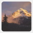 Search for mount hood stickers Forest