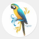 Search for blue and gold macaw stickers Colourful