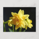Search for floral design photography Colourful nature inspired design