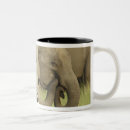 Search for india elephant mugs Fauna