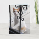 Search for cute missing you cards Lonely