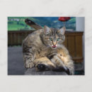 Search for disturb postcards Kitty