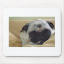 Search for woof mouse mats Pet