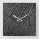 Search for elephant clocks Wildlife