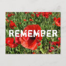 Search for remembrance day poppy postcards Flowers