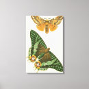 Search for bordered canvas prints Nature