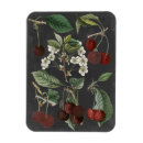 Search for botanical study magnets Fruits