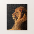 Search for big lion puzzles Wild cats