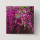 Search for plaza accessories Photography