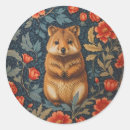 Search for quokka stickers Cute