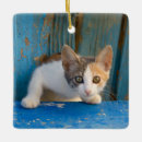 Search for tortoiseshell cat christmas tree decorations Kitten