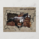 Search for pinto postcards Paint