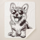 Search for corgi blankets Cute dog