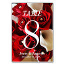 Search for christmas table cards White