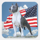 Search for pit bull terrier stickers Pittie