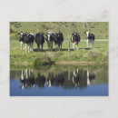 Search for henley postcards Field