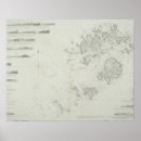 Search for scales art Map