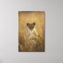 Search for zimbabwe art Hwange national park