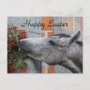 Search for funny easter postcards Happy