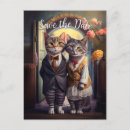 Search for catlover postcards Kittens