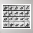 Search for eadweard muybridge posters Horses