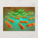 Search for microb postcards Medicine
