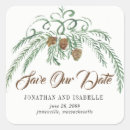 Search for pine cone Minimalist