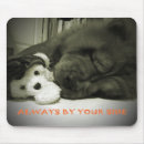 Search for chow mouse mats Canine