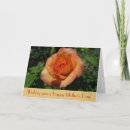 Search for roses mothers day cards Nature