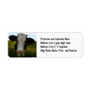 Search for ranching return address labels Cute