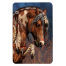 Search for pony magnets Wild