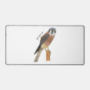 Search for falconer electronics Bird of prey
