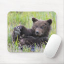 Search for grizzly mouse mats Young animal