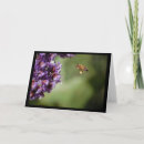Search for pollen cards Flower