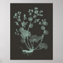 Search for mint posters Florals