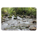 Search for stream Beautiful