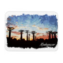 Search for madagascar magnets Africa