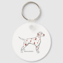 Search for liver key rings Dalmatian