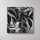 Search for black and white fern art Leaves