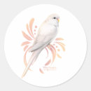 Search for parakeet stickers Budgerigars