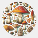 Search for mushroom stickers Fairytale