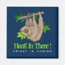 Search for sloth magnets Animal